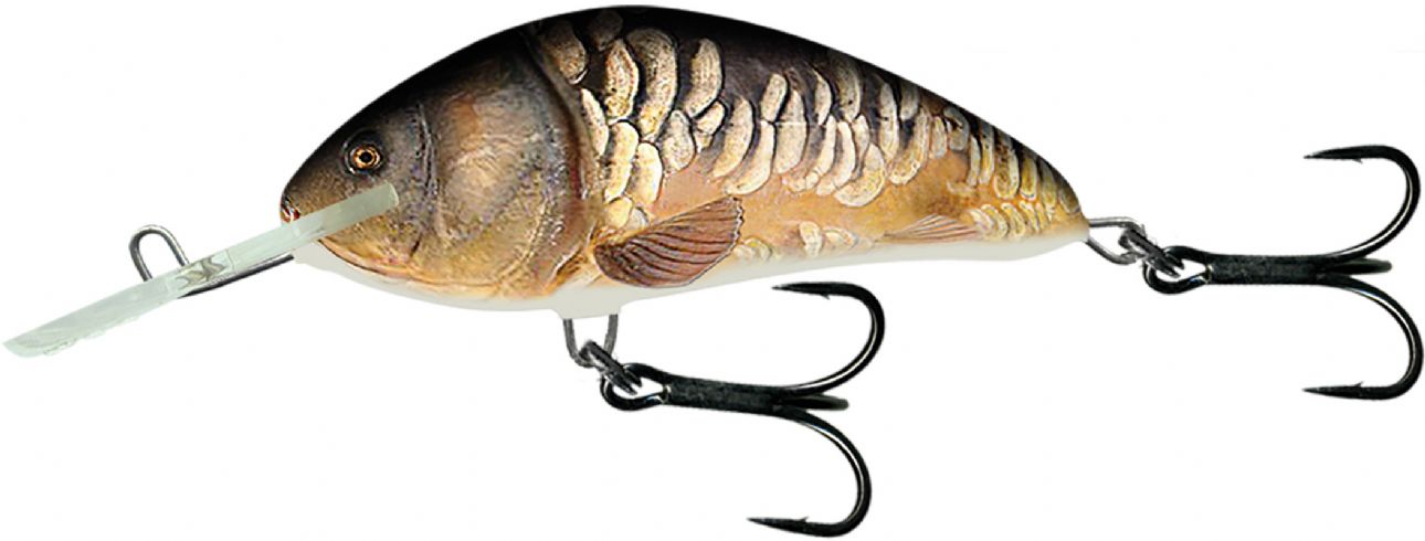 SALMO FLOATING HORNET 9CM SUPERNATURAL MIRROR CARP QHT859.jpg Salmo Hornet Supernatural Floating 9cm